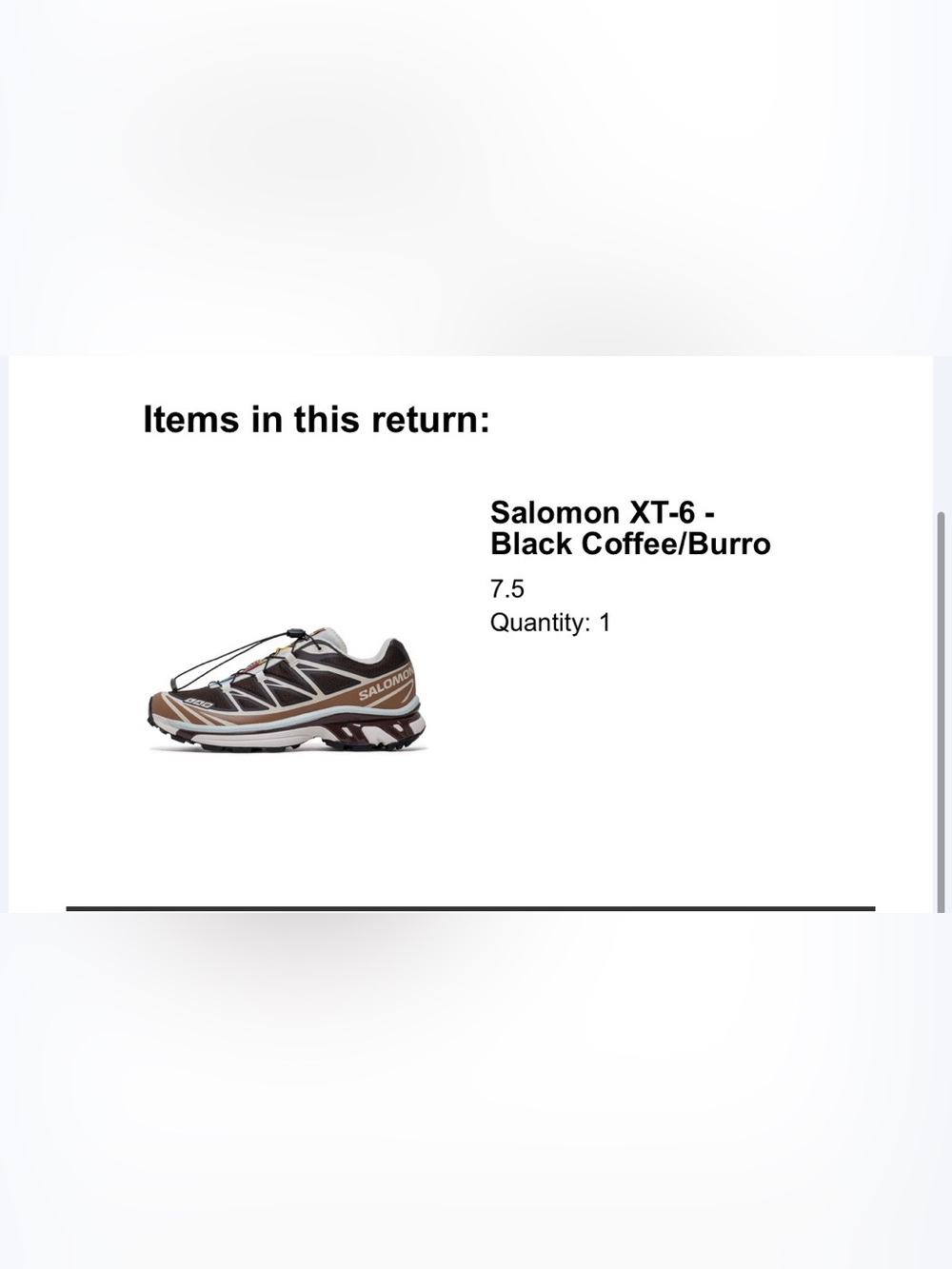 Salomon XT-6 Trail Shoe — Black Coffee/Burro/Bitter Chocolate